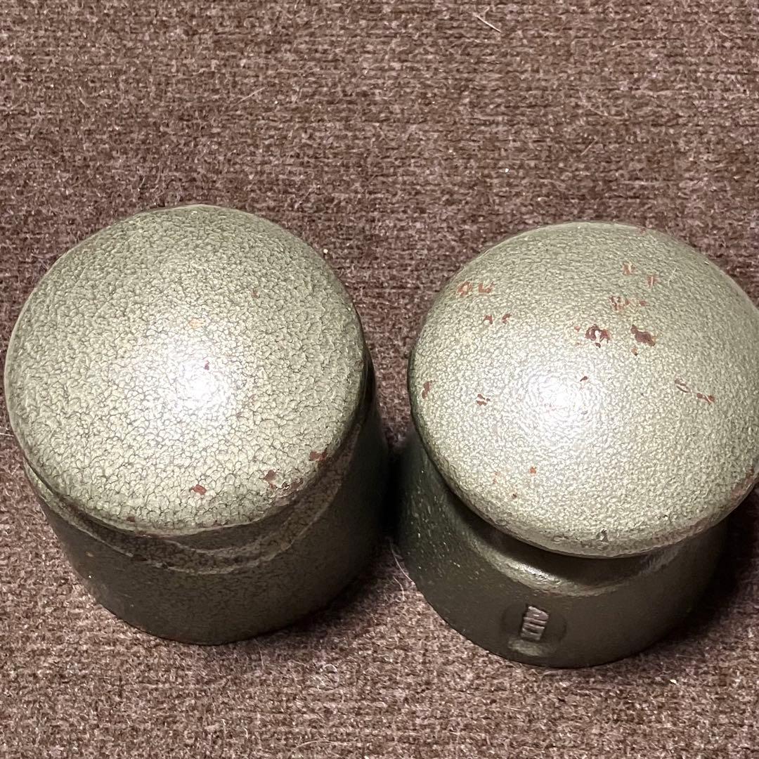 ALEX 5kg×2個セット 10kg イーグルクロー 握力 ダンベル ピンチ