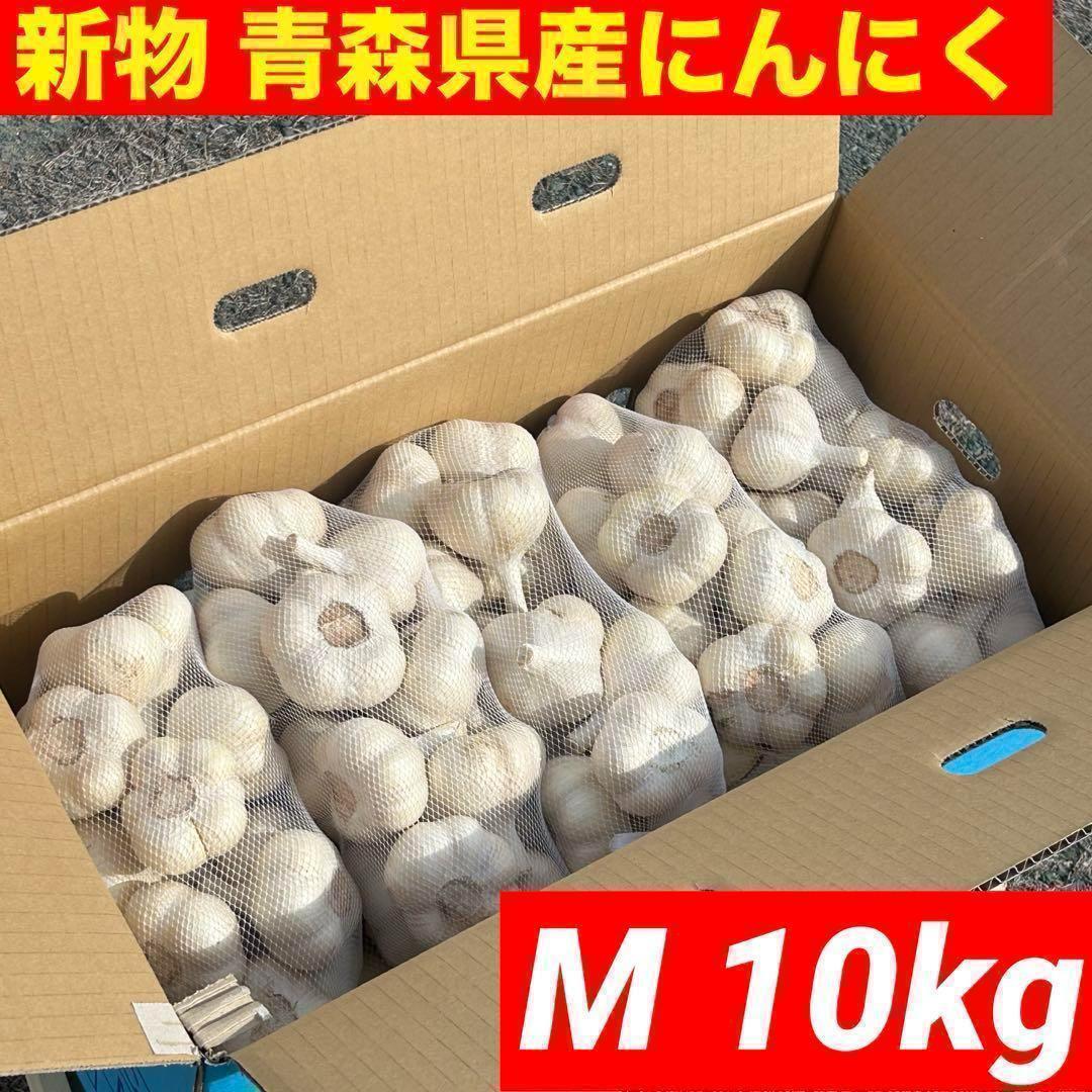 【期間限定セール品】新物 青森県産 にんにく M 10kg 福地ホワイト 種