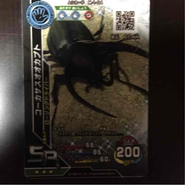 コーカサス