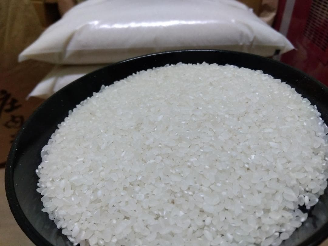 令和7年産　山形県産コシヒカリ中米