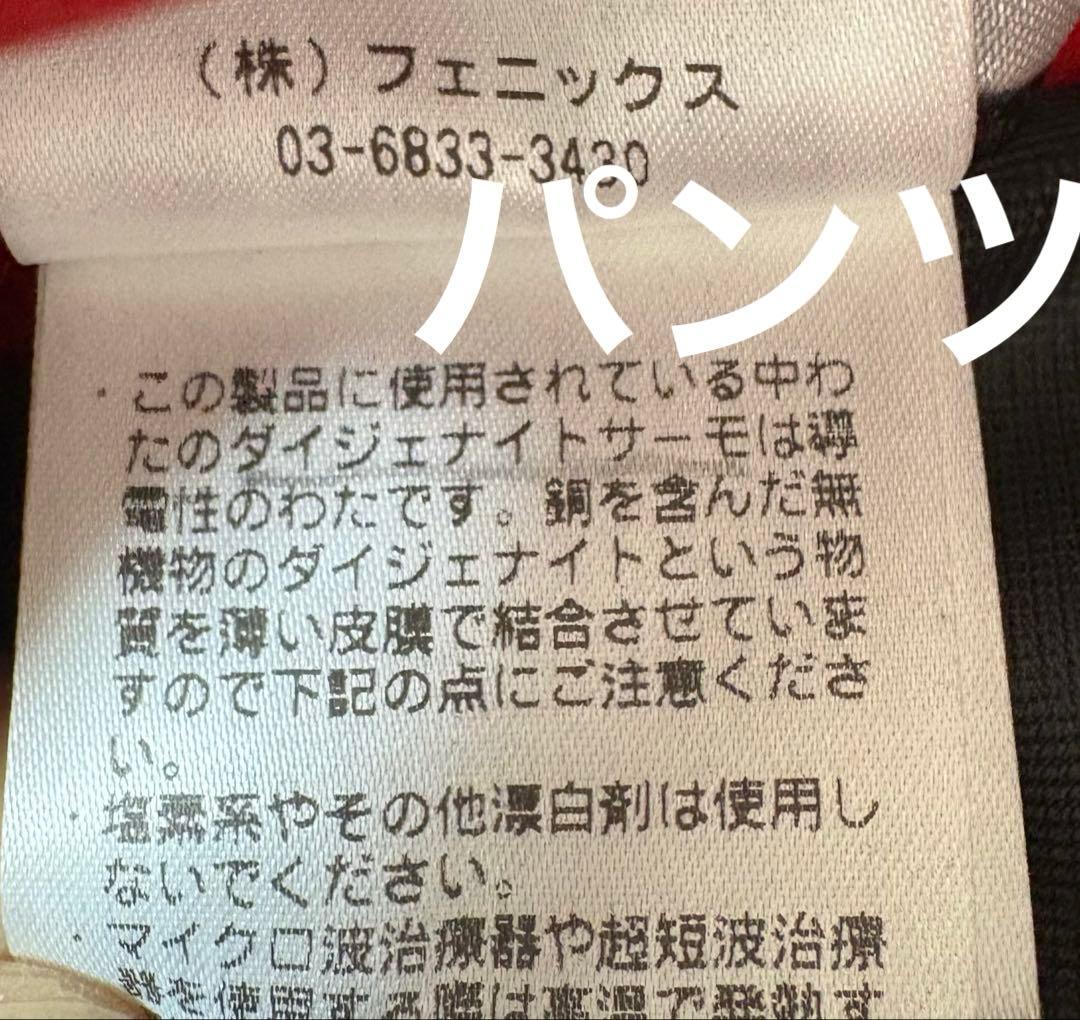 ♦︎良品♦︎フェニックスphenixスキーウェア　スノボウェア　メンズ　L