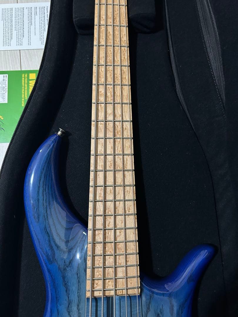 ベース F-bass BN5