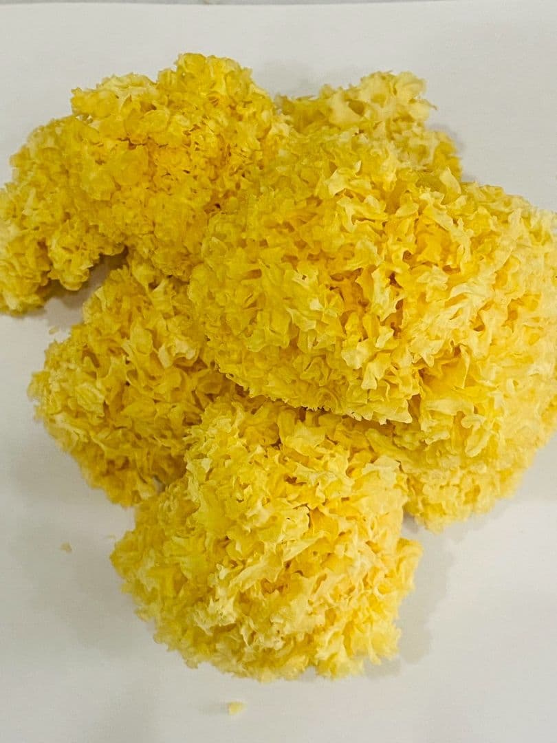 mkt515