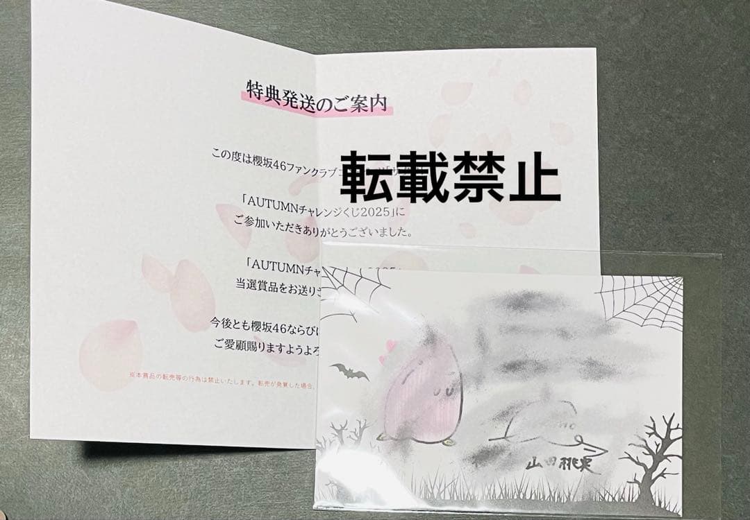 櫻坂46 山田桃実　サクコレ　A賞直筆おばけ原画　直筆サイン