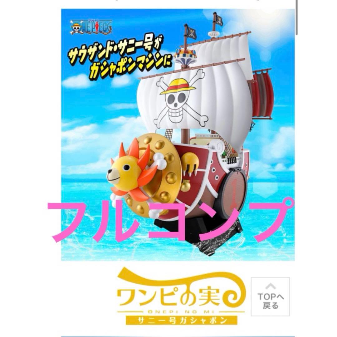 ワンピの実　フルコンプ