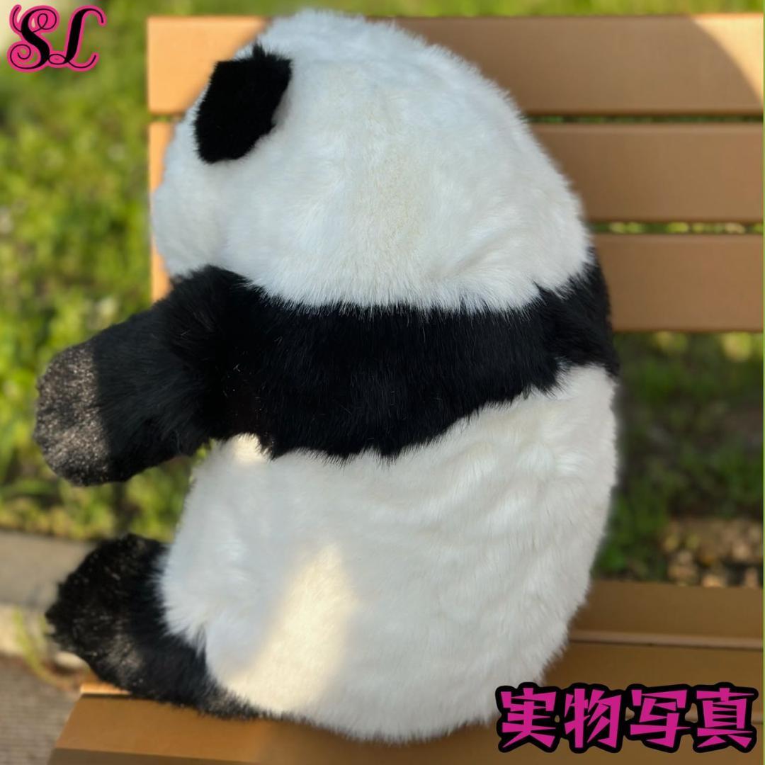 リアルで癒される！5ヶ月齢パンダ ぬいぐるみ登場 ファファ まるで本物！