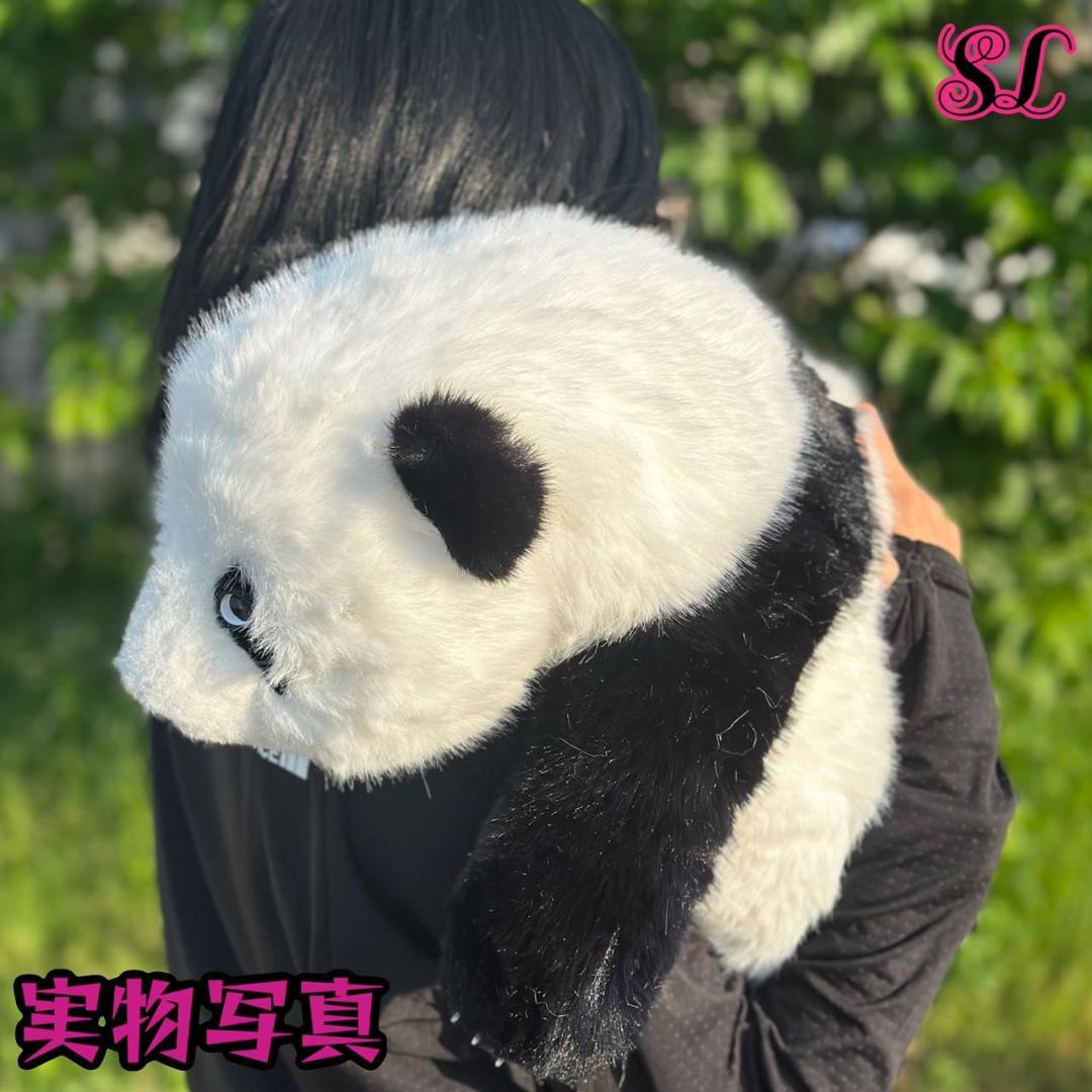 リアルで癒される！5ヶ月齢パンダ ぬいぐるみ登場 ファファ まるで本物！