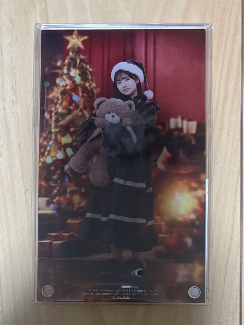 日向坂46 正源司陽子 ひな図書 アクリルアートパネル