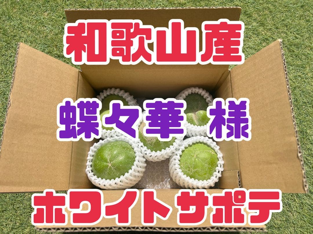 蝶々華 様　⭐︎和歌山産⭐︎ ホワイトサポテ 約1.5kg 訳あり　希少　柑橘類