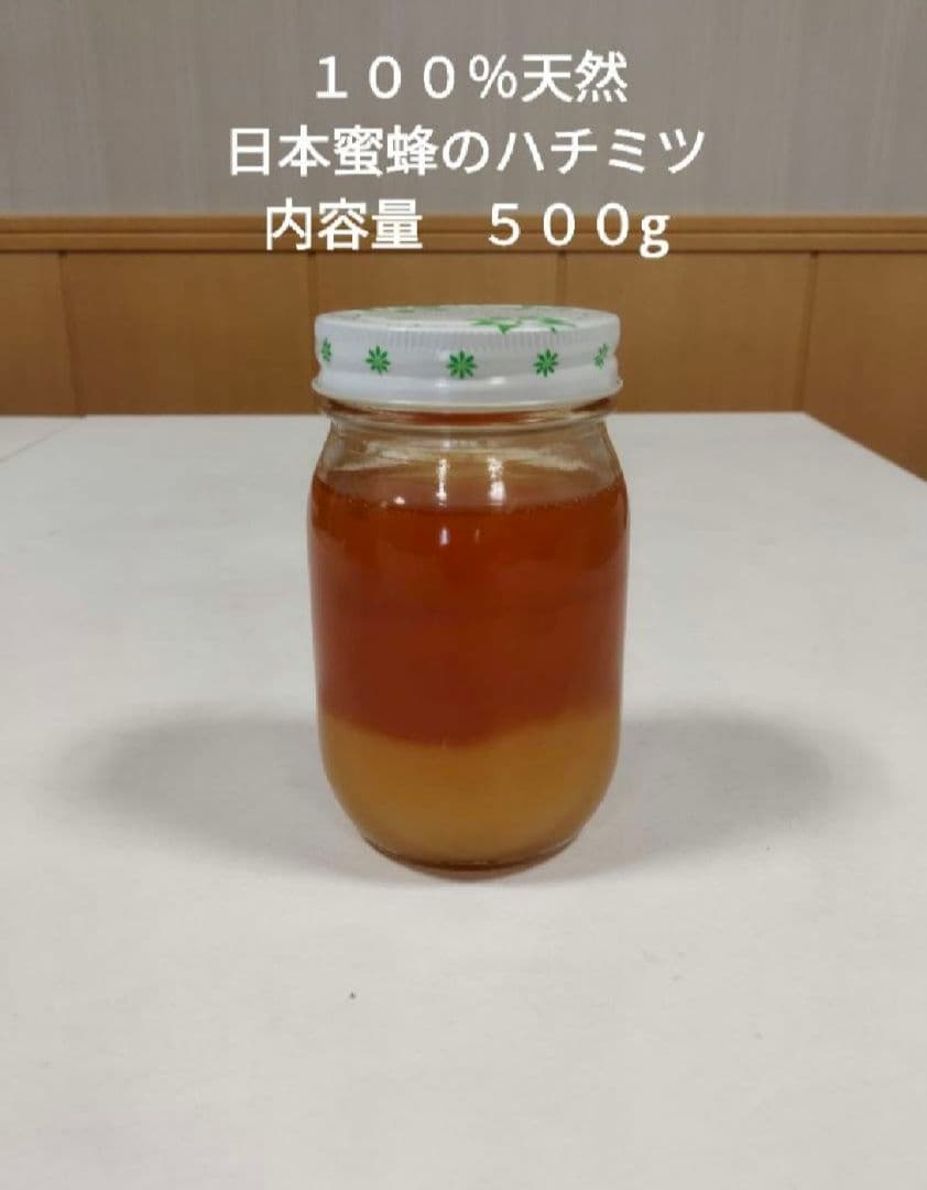 日本蜜蜂の天然ハチミツ　無添加　内容量５００g × 6本