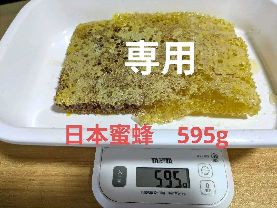 日本みつばち　コムハニー 甘い　フレッシュ　とれたて