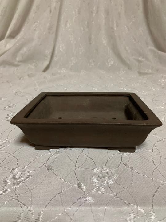 秋果　ほつれあり　盆栽鉢