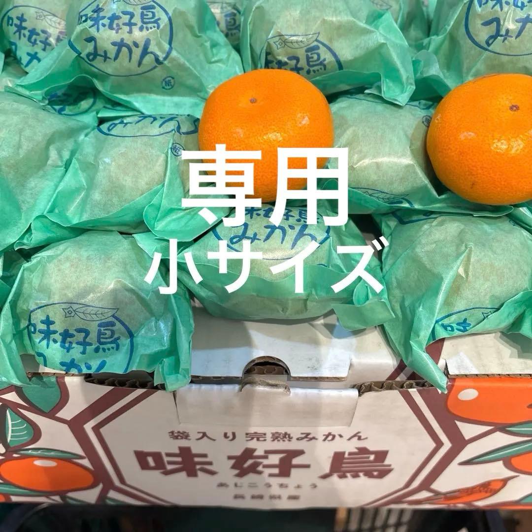 専用 2箱 中小 味好鳥' 袋掛けみかん '小サイズ JAながさき県央