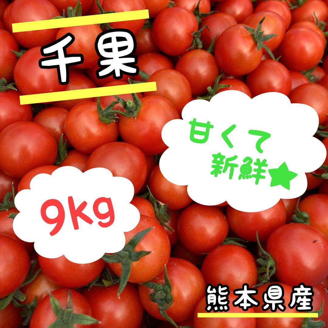 ミニトマト　9kg