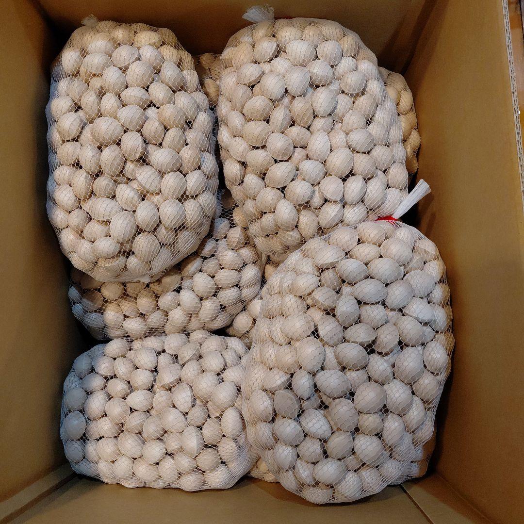 銀杏 2L 10kg