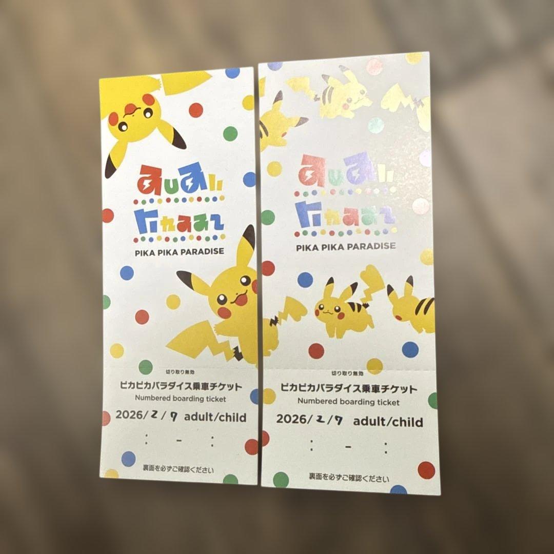ポケパークカントー　エリートトレーナーズパス　特典セット　＋おまけ