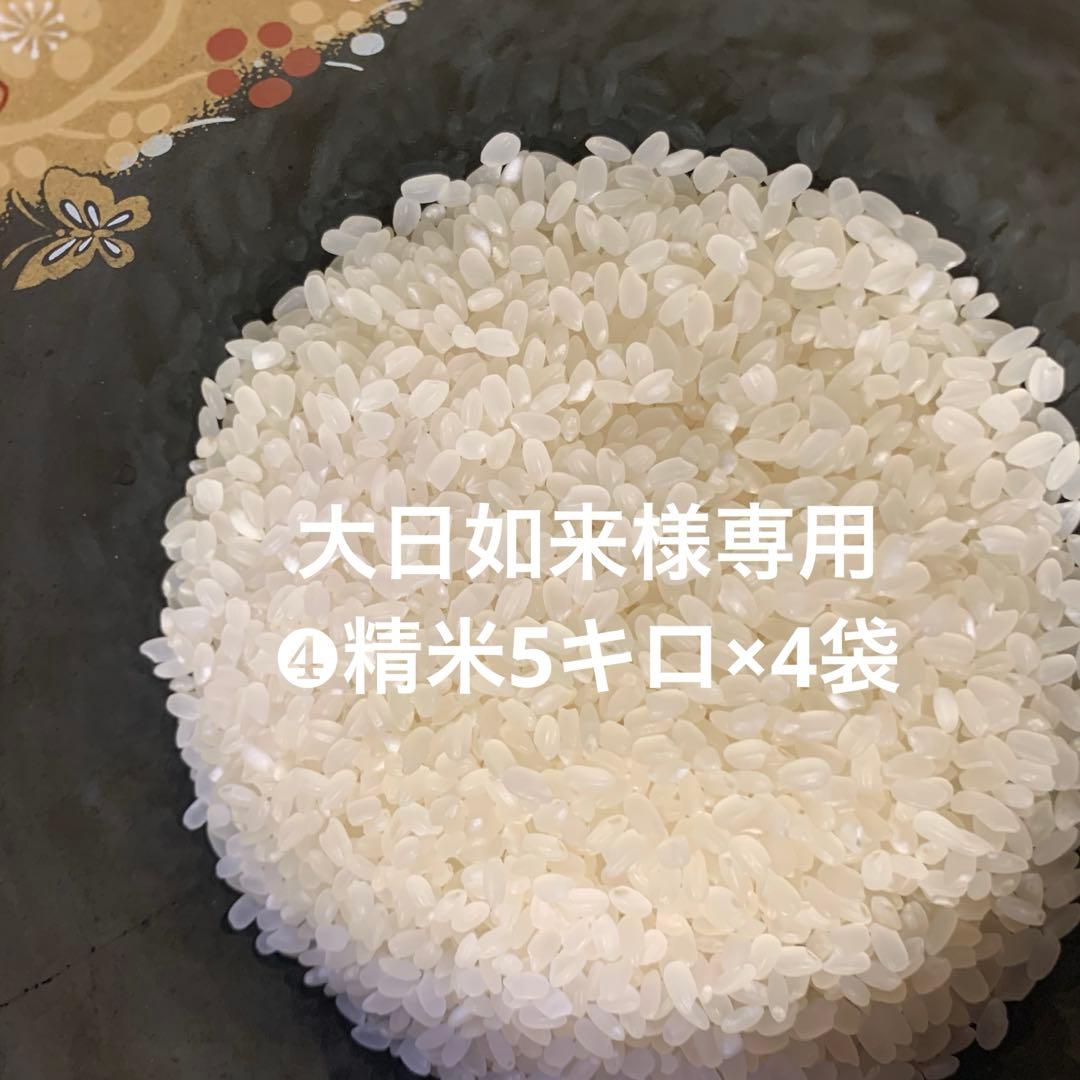 大日如来