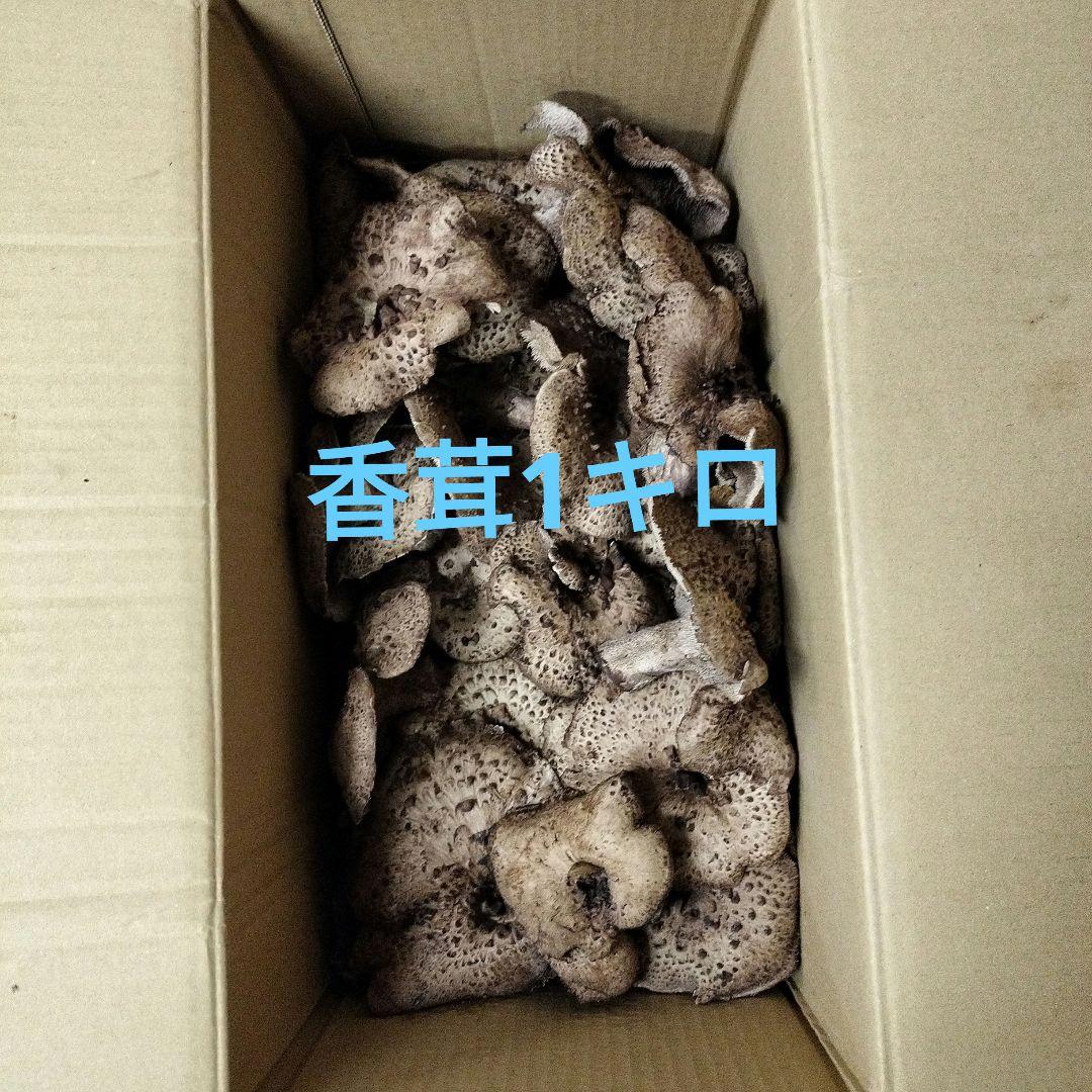 岩手県産香茸