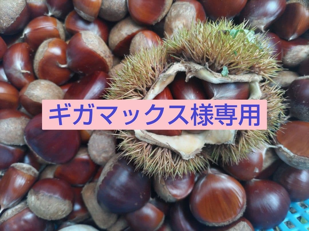 ギガマックス