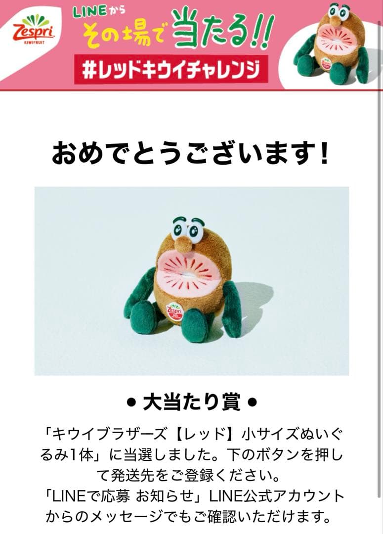 ゼスプリ キウイブラザーズ　レッドルビー　ぬいぐるみ　非売品 新品 未開封