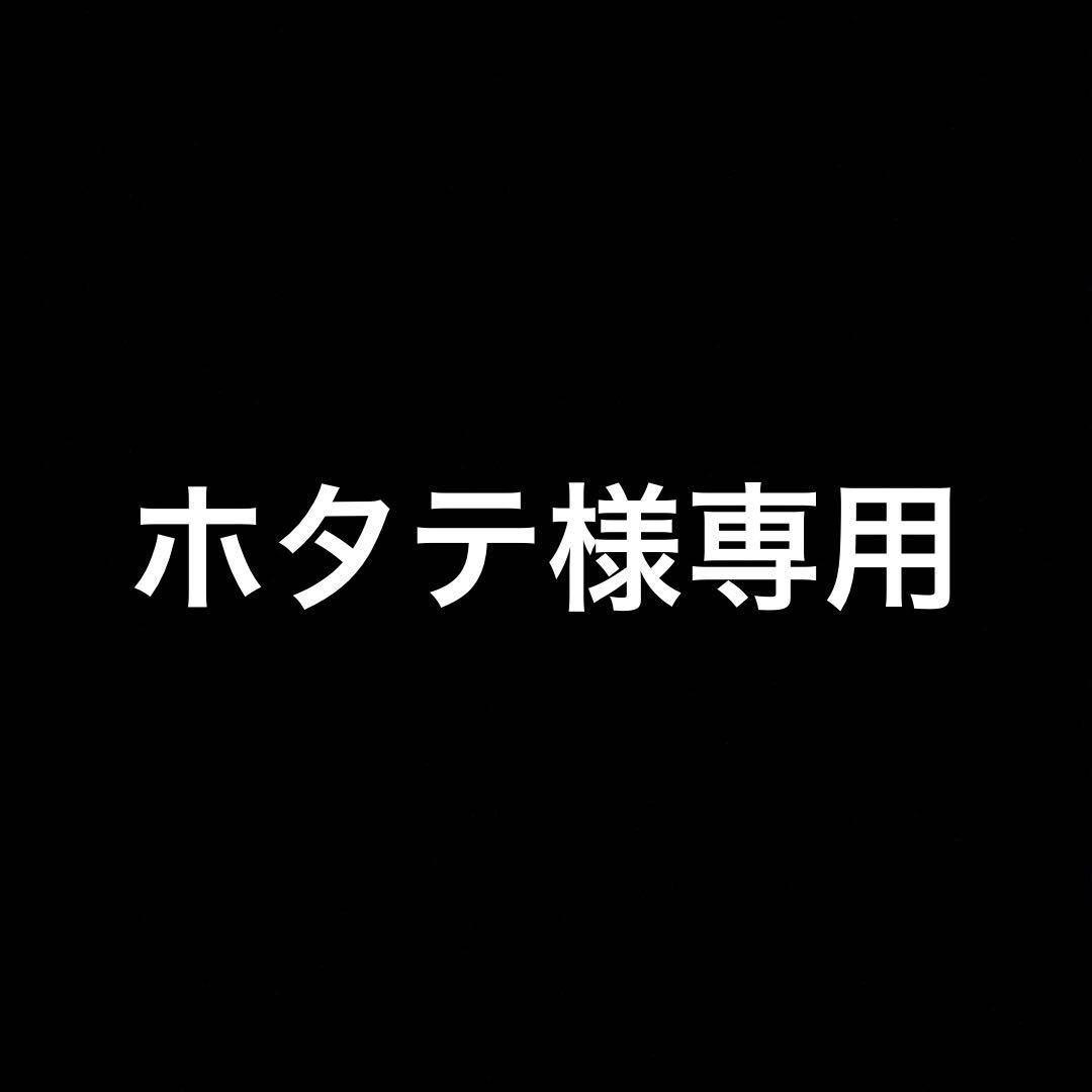 フィギュア