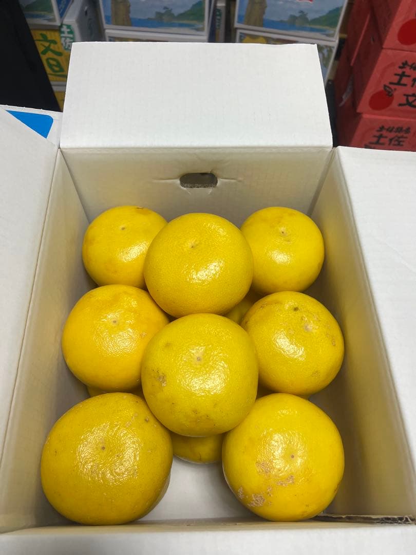 文旦　山北みかん　ポンカン　好きにも　02