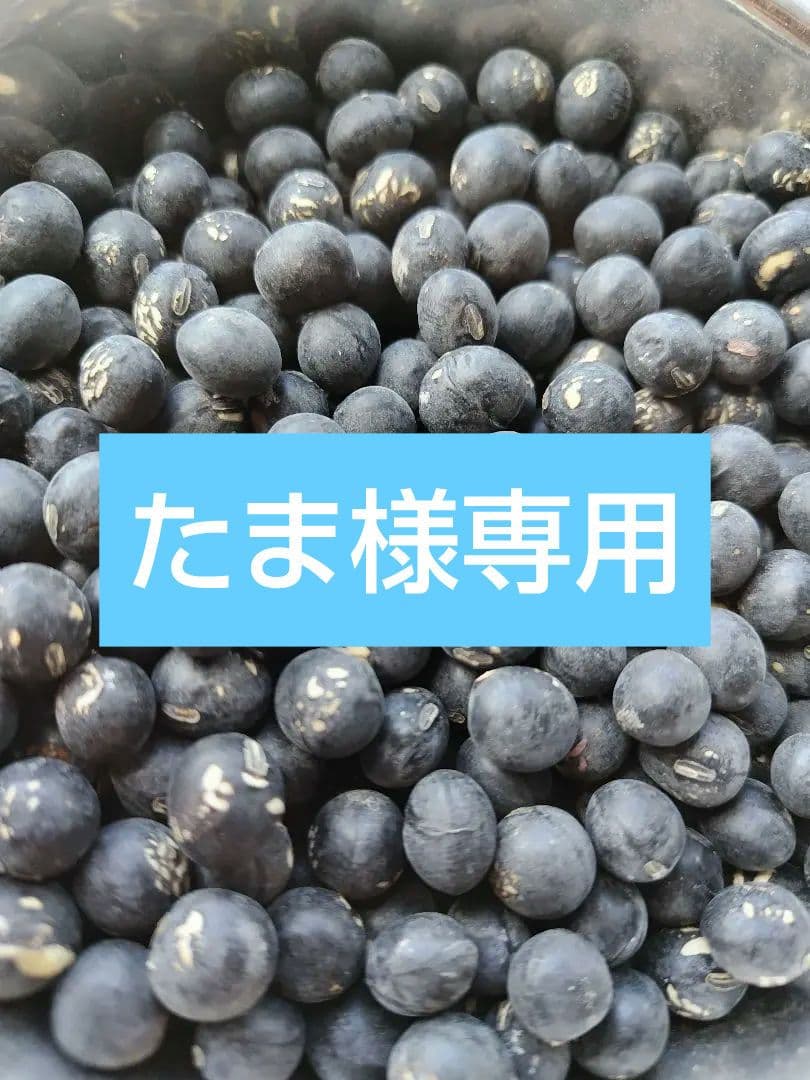たま様
