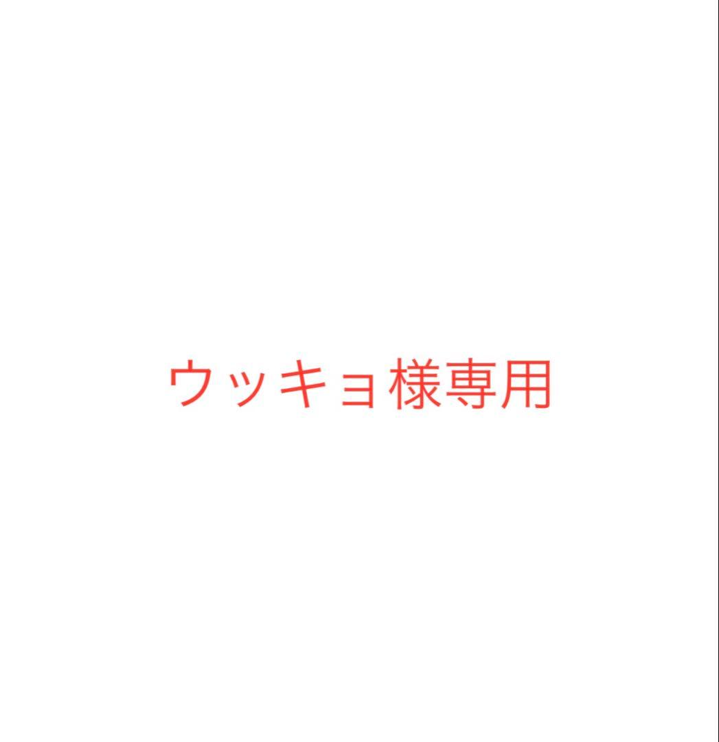 ウッキョ 生塩ノア PSA10 ヴァイスシュヴァルツ ブルーアーカイブ