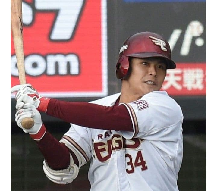 【プレミア】山崎剛 mizuno ミズノ 硬式木製バット 86cm 910g