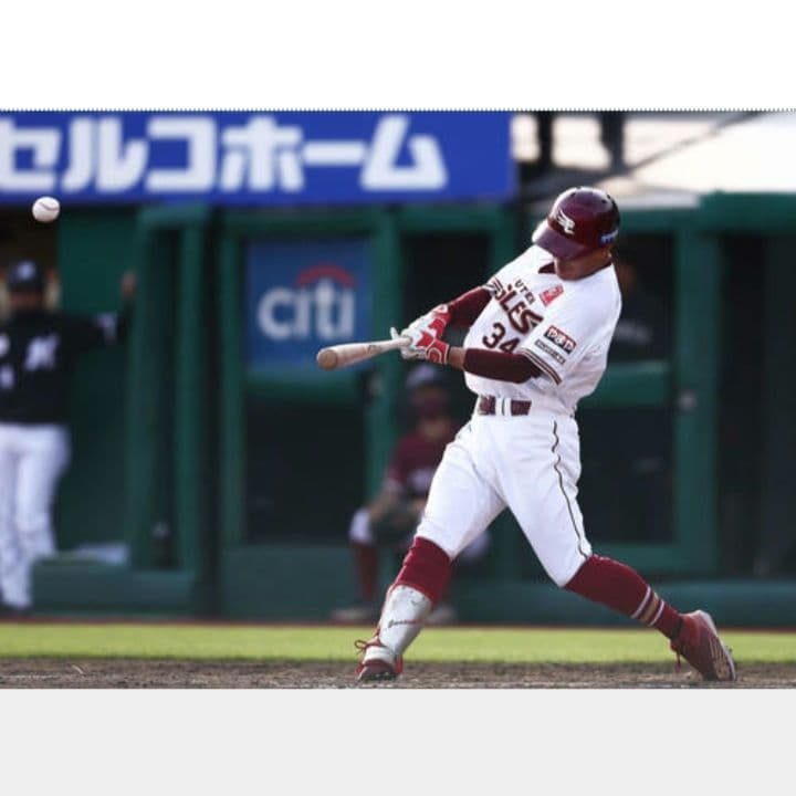 【プレミア】山崎剛 mizuno ミズノ 硬式木製バット 86cm 910g