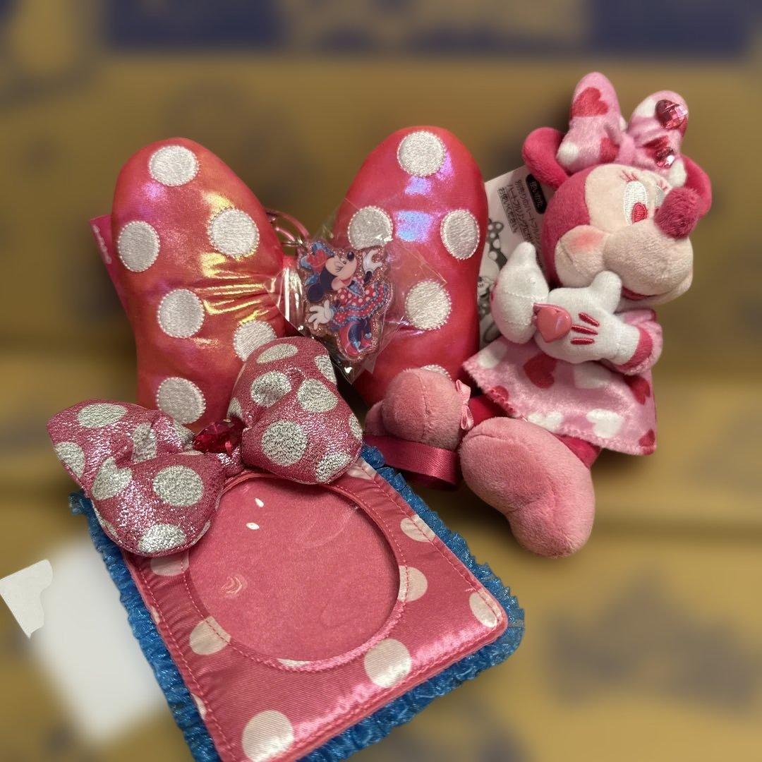 ディズニー パルパルーザ ミニーのファンダーランド 3点おまとめ 完売品