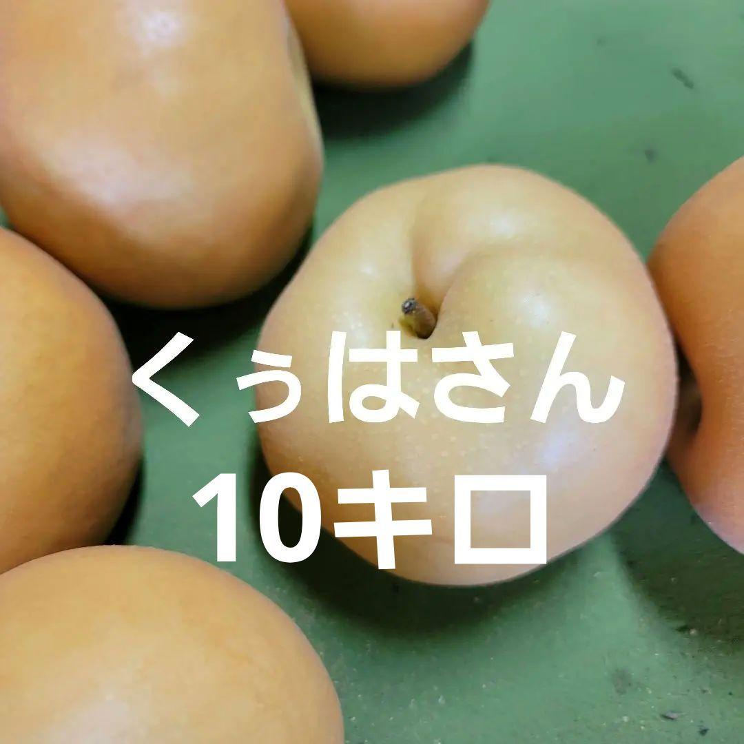 くぅはさん
