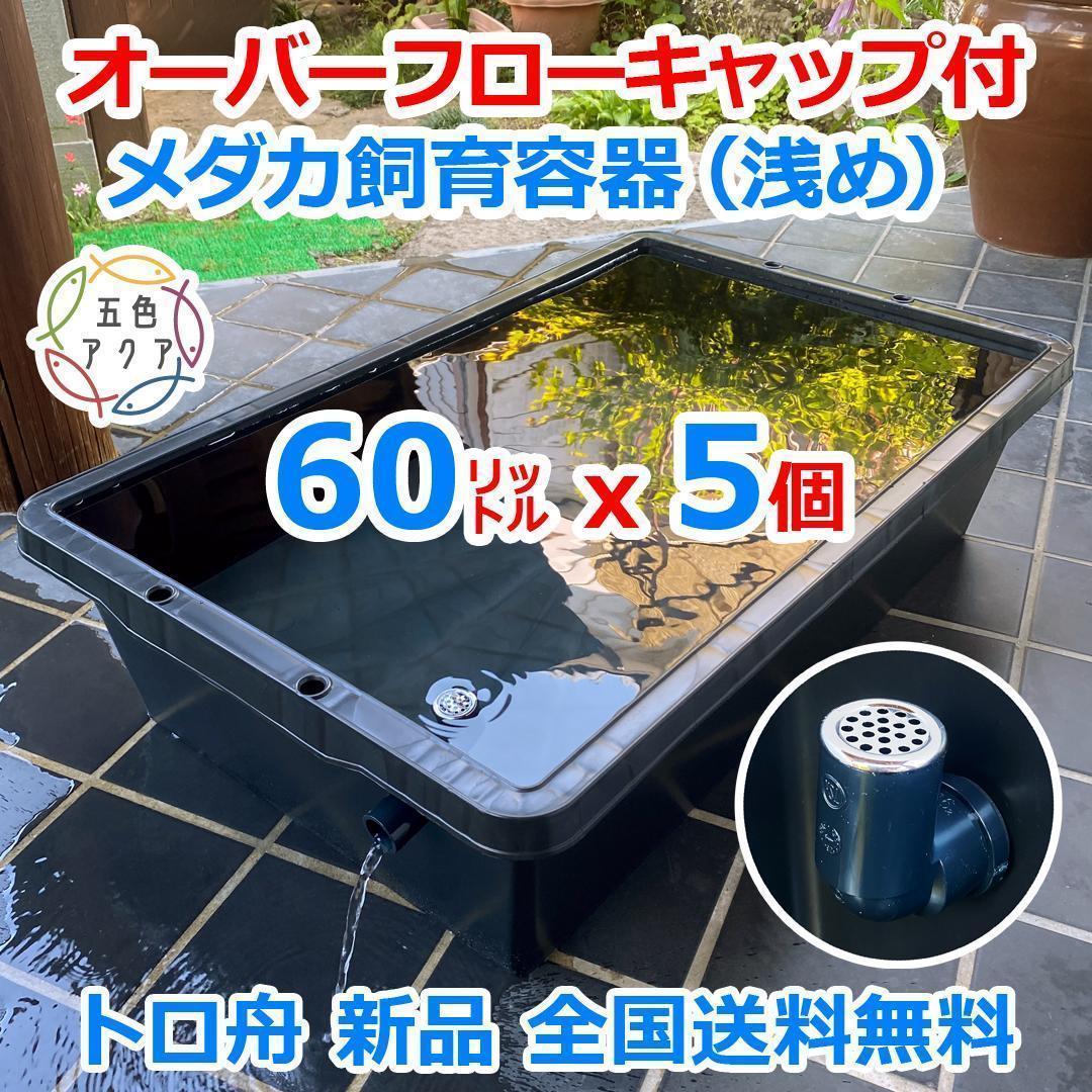 メダカ飼育ケース 60㍑トロ舟x5個 オーバーフロー 金魚飼育容 メダカ飼育容器