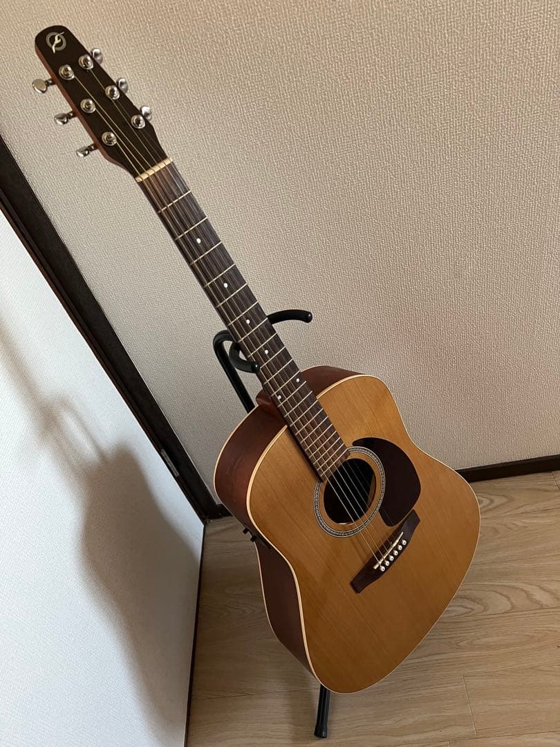 Seagull S6 + Cedar GT アコースティックギター
