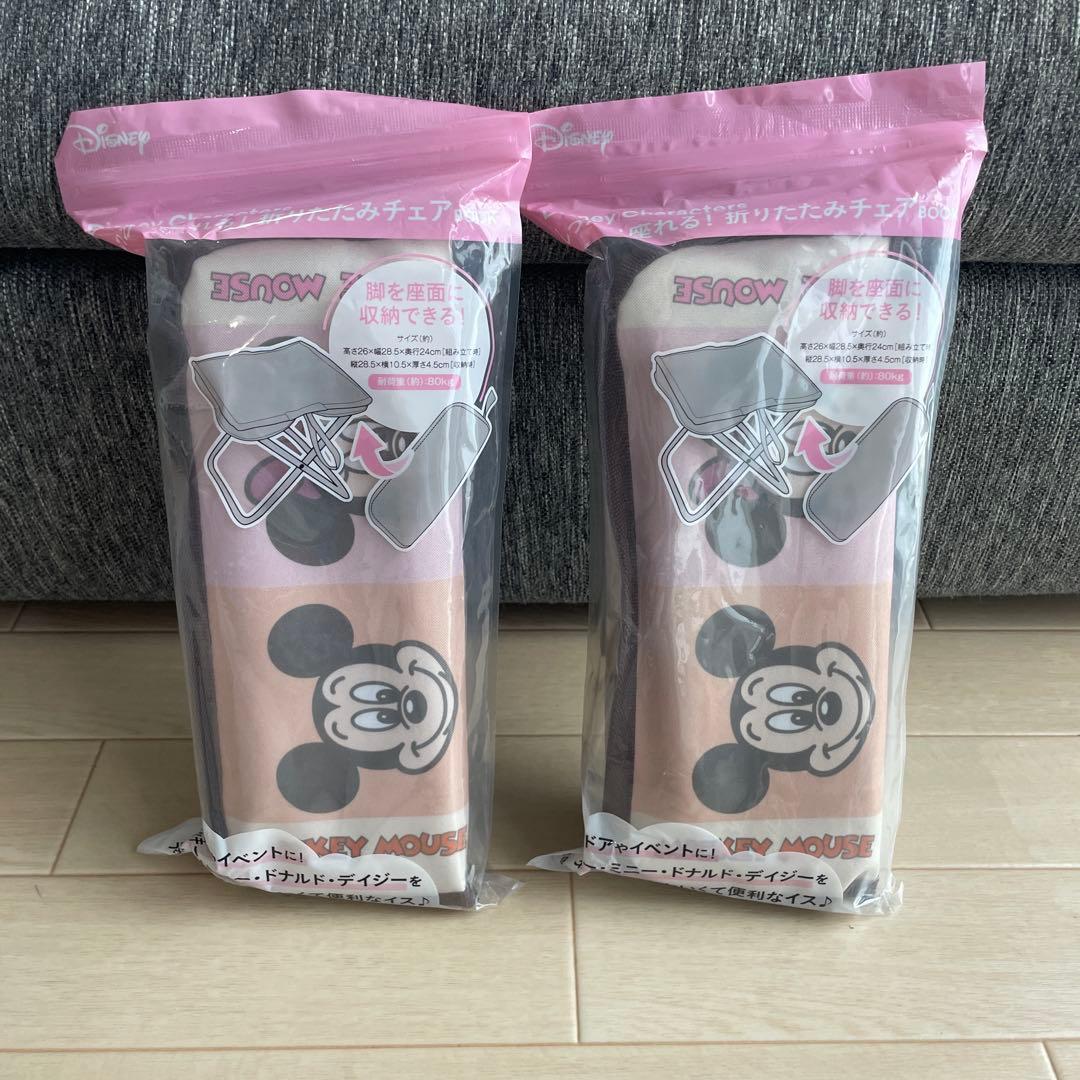 Disney Characters しっかり座れる！ 折りたたみチェアBOOK