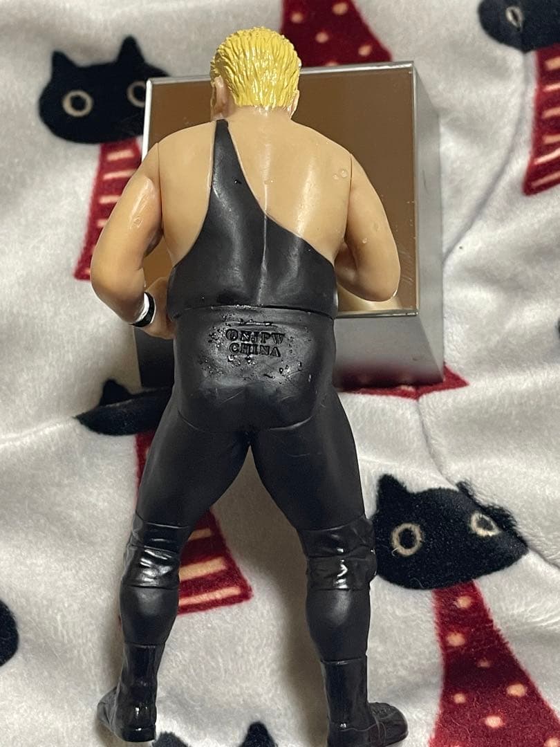 プロレス