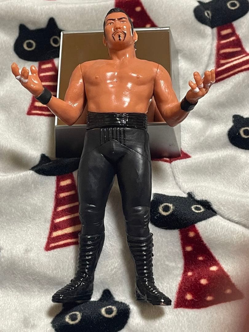 プロレス