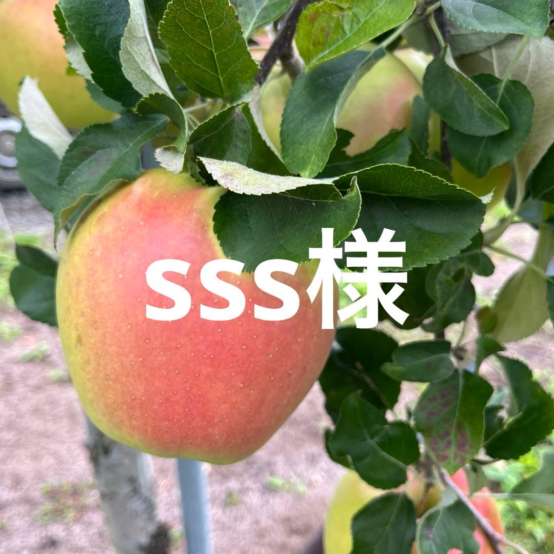 sssページ✨10kg