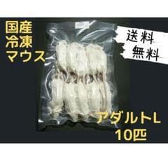 ★si-ka★国産冷凍マウス リタイア30匹 アダルトL10匹
