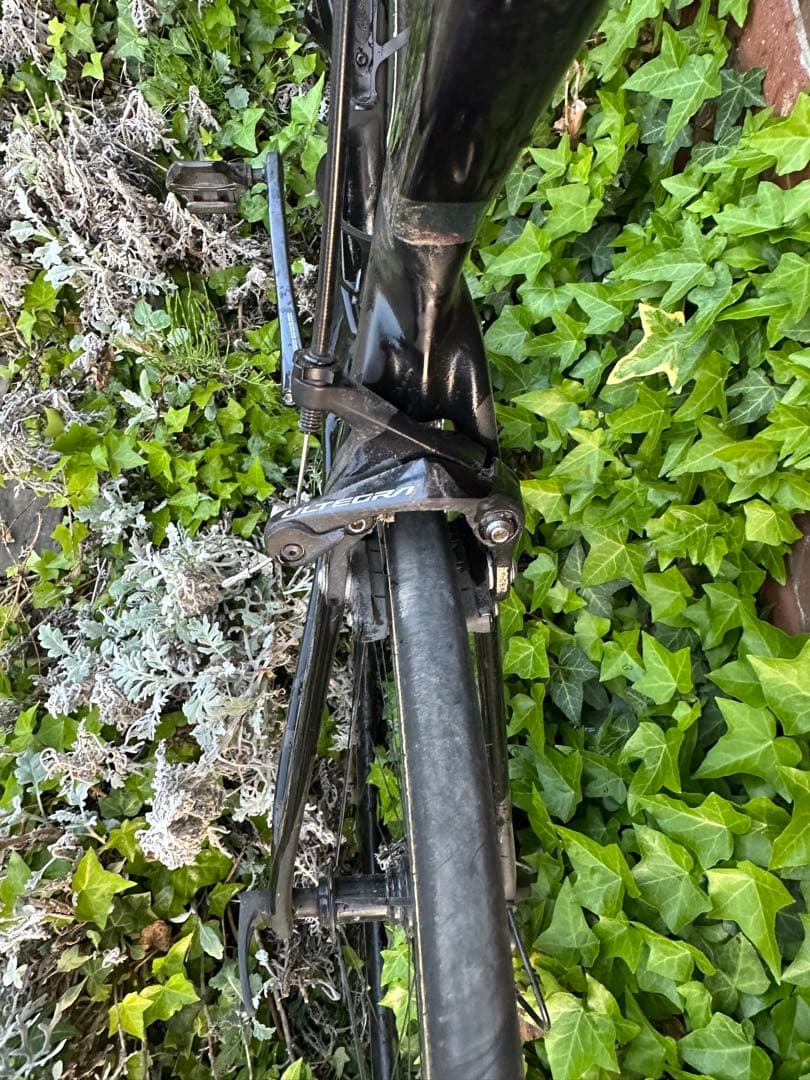 ELEVS FALATH PRO ファラスプロ　完成車