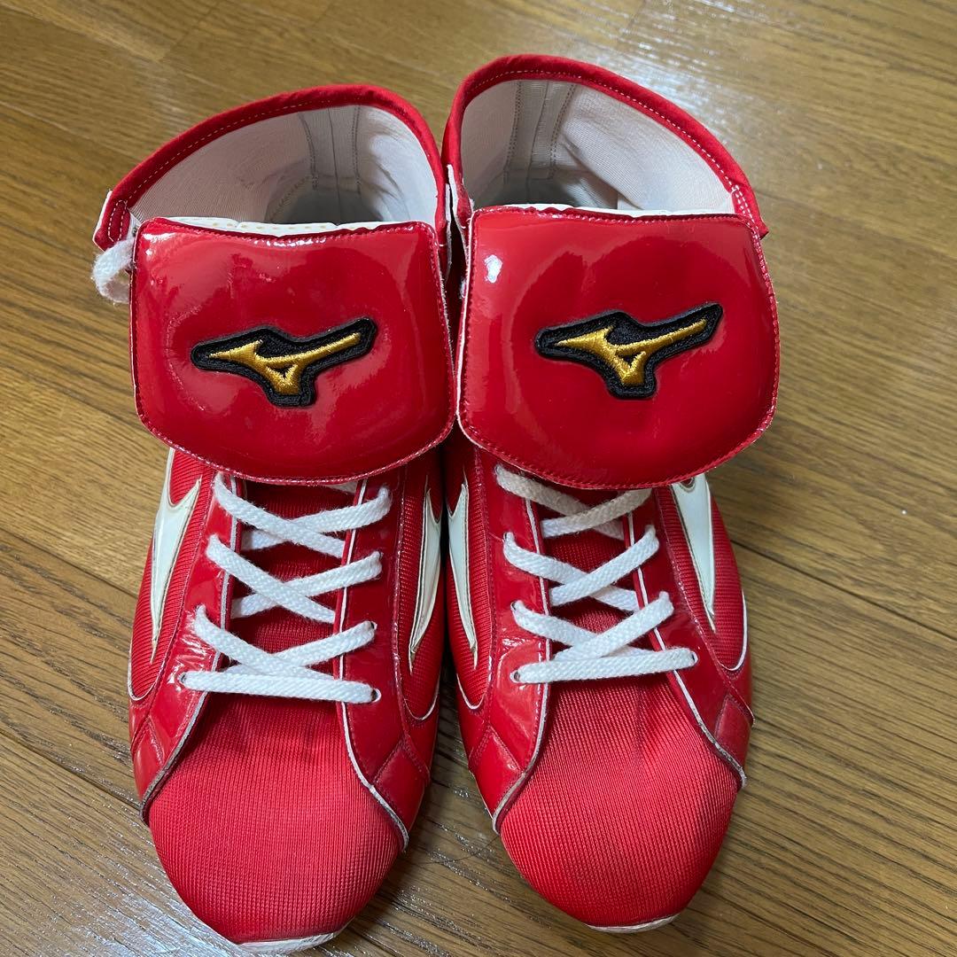 【2025年購入】Mizuno ボクシングシューズ 26.0cm