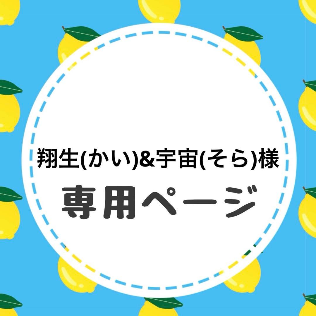 翔生(かい)&宇宙(そら)ページ