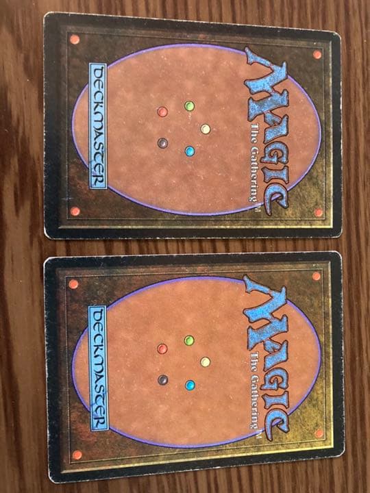 『MTG』デュアルランド taiga 2枚セット