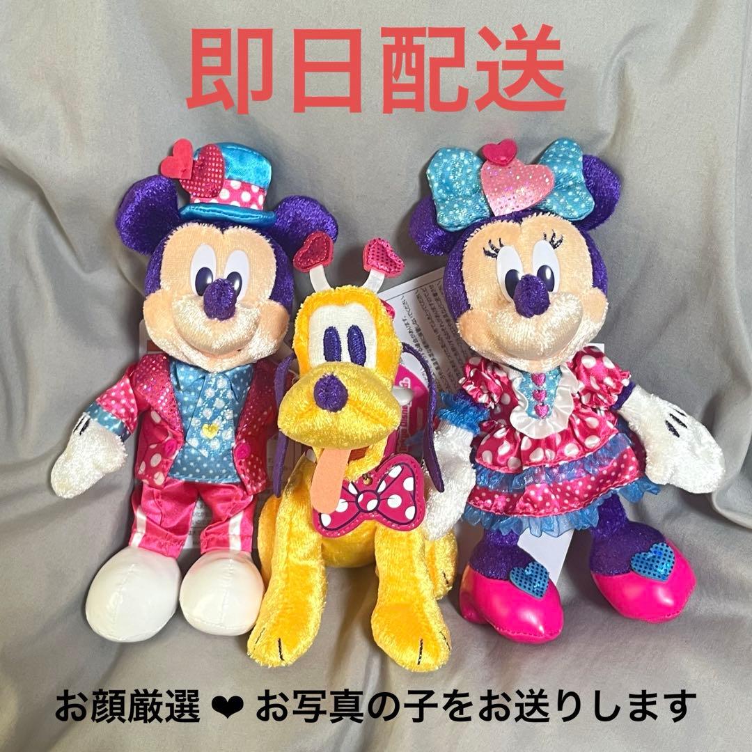 ミニーのファンダーランド　ぬいぐるみバッジ　セット