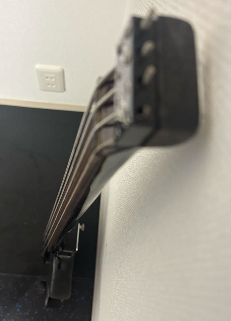 Fernandes FRB-55 ヘッドレス_フレットレスベース唯一無二