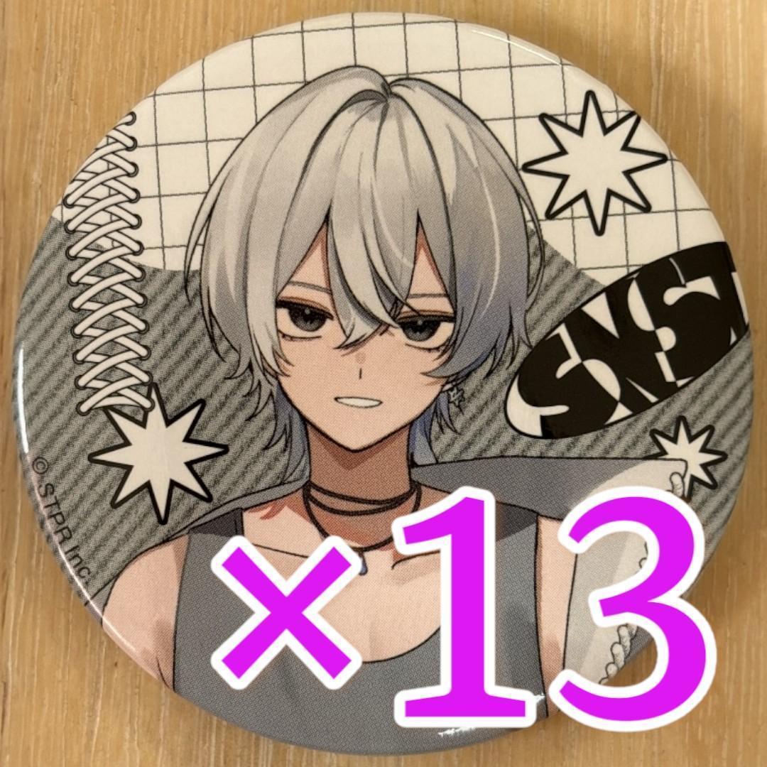にしき Summer ver. すにすて 缶バッジ 13点