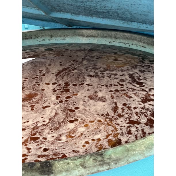 ◆価格高騰！農家直送！紀州南高梅 樽 10000g 無添加 和歌山 紀州 白梅