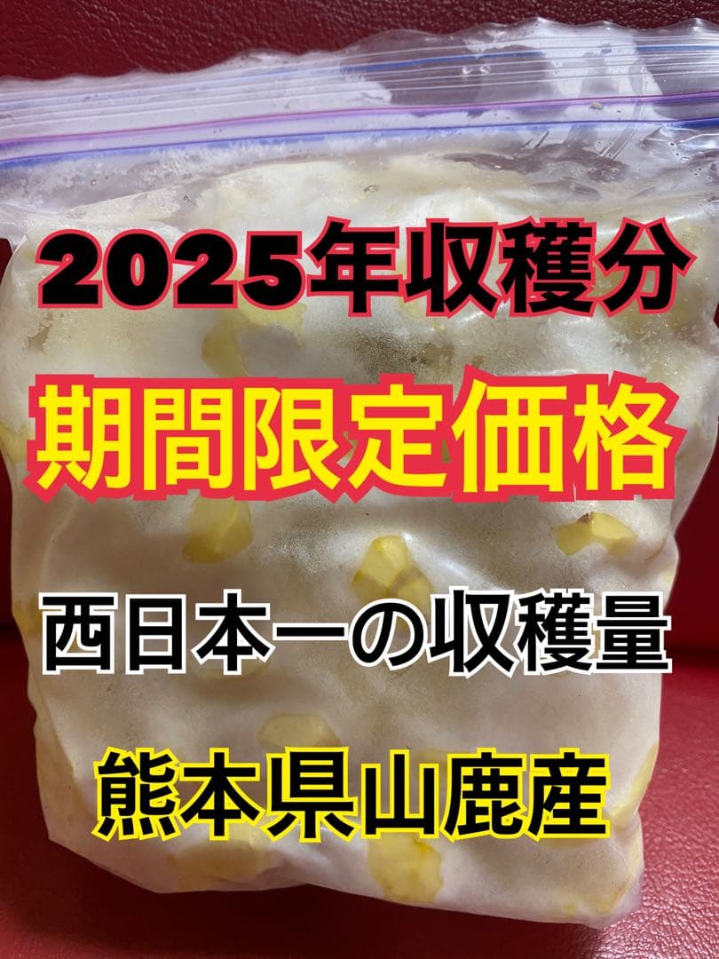 のぞみさま専用　むき栗