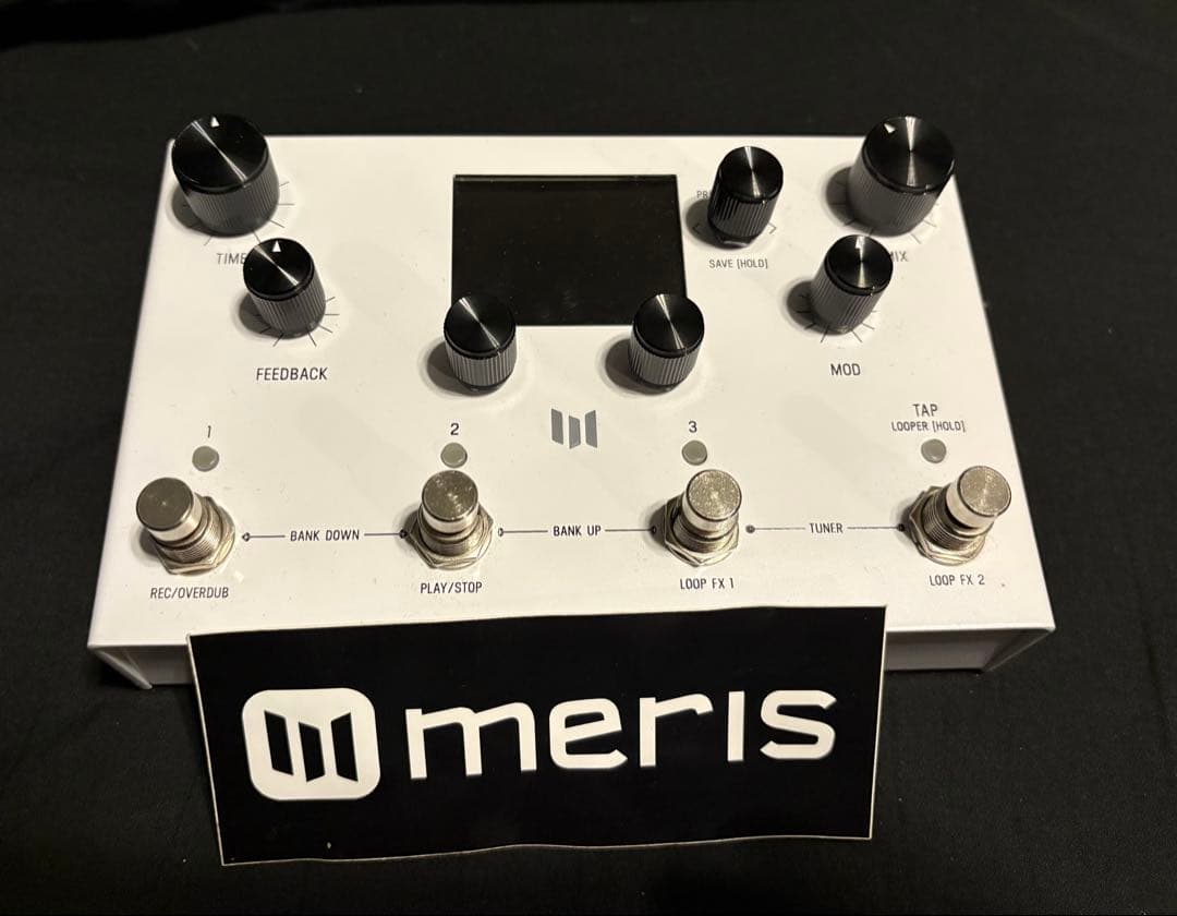 ギター meris LVX