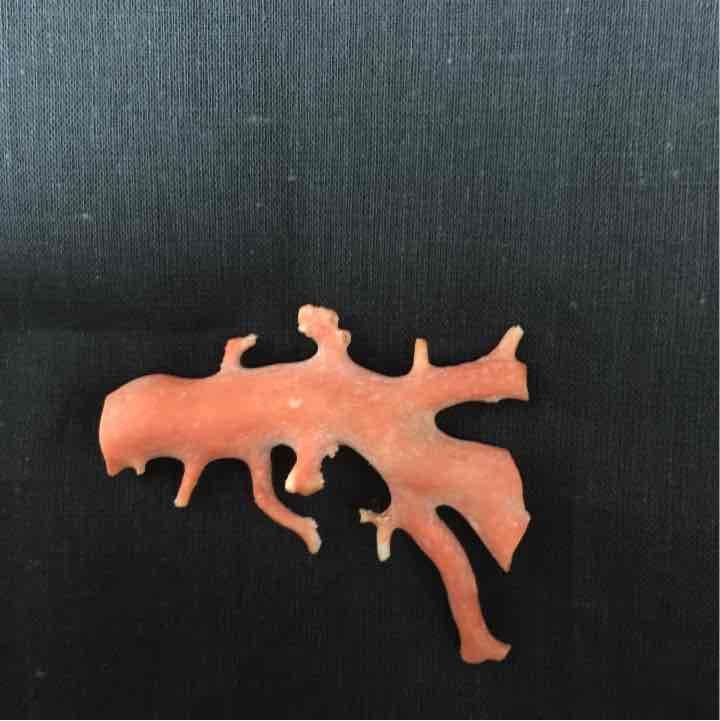 赤珊瑚原木